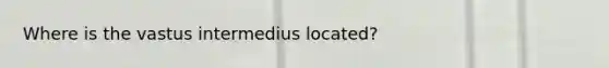 Where is the vastus intermedius located?