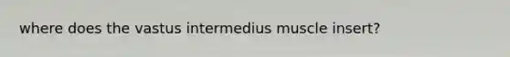 where does the vastus intermedius muscle insert?