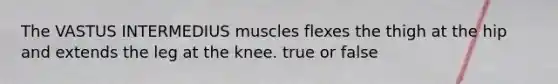 The VASTUS INTERMEDIUS muscles flexes the thigh at the hip and extends the leg at the knee. true or false