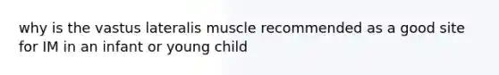 why is the vastus lateralis muscle recommended as a good site for IM in an infant or young child