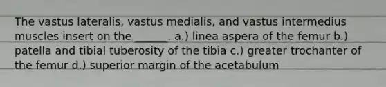 The vastus lateralis, vastus medialis, and vastus intermedius muscles insert on the ______. a.) linea aspera of the femur b.) patella and tibial tuberosity of the tibia c.) greater trochanter of the femur d.) superior margin of the acetabulum