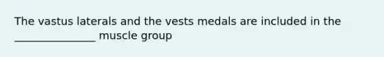 The vastus laterals and the vests medals are included in the _______________ muscle group