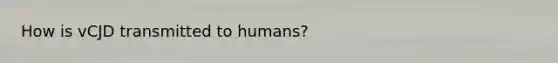 How is vCJD transmitted to humans?