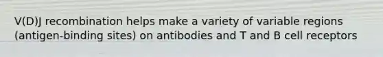 V(D)J recombination helps make a variety of variable regions (antigen-binding sites) on antibodies and T and B cell receptors