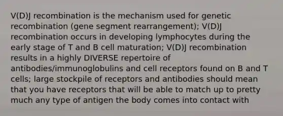 V(D)J recombination is the mechanism used for genetic recombination (gene segment rearrangement); V(D)J recombination occurs in developing lymphocytes during the early stage of T and B cell maturation; V(D)J recombination results in a highly DIVERSE repertoire of antibodies/immunoglobulins and cell receptors found on B and T cells; large stockpile of receptors and antibodies should mean that you have receptors that will be able to match up to pretty much any type of antigen the body comes into contact with