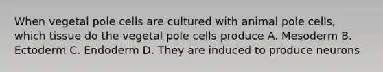 When vegetal pole cells are cultured with animal pole cells, which tissue do the vegetal pole cells produce A. Mesoderm B. Ectoderm C. Endoderm D. They are induced to produce neurons