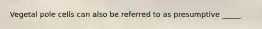 Vegetal pole cells can also be referred to as presumptive _____