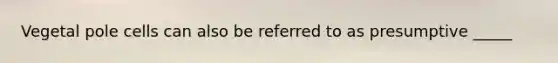 Vegetal pole cells can also be referred to as presumptive _____