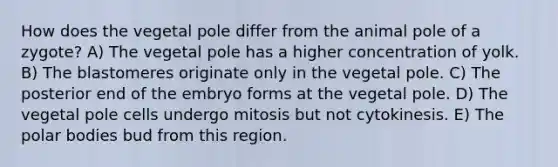 How does the vegetal pole differ from the animal pole of a zygote? A) The vegetal pole has a higher concentration of yolk. B) The blastomeres originate only in the vegetal pole. C) The posterior end of the embryo forms at the vegetal pole. D) The vegetal pole cells undergo mitosis but not cytokinesis. E) The polar bodies bud from this region.