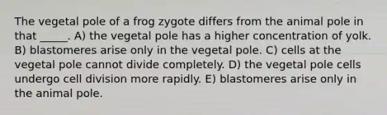 The vegetal pole of a frog zygote differs from the animal pole in that _____. A) the vegetal pole has a higher concentration of yolk. B) blastomeres arise only in the vegetal pole. C) cells at the vegetal pole cannot divide completely. D) the vegetal pole cells undergo cell division more rapidly. E) blastomeres arise only in the animal pole.