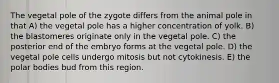 The vegetal pole of the zygote differs from the animal pole in that A) the vegetal pole has a higher concentration of yolk. B) the blastomeres originate only in the vegetal pole. C) the posterior end of the embryo forms at the vegetal pole. D) the vegetal pole cells undergo mitosis but not cytokinesis. E) the polar bodies bud from this region.