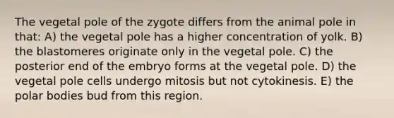 The vegetal pole of the zygote differs from the animal pole in that: A) the vegetal pole has a higher concentration of yolk. B) the blastomeres originate only in the vegetal pole. C) the posterior end of the embryo forms at the vegetal pole. D) the vegetal pole cells undergo mitosis but not cytokinesis. E) the polar bodies bud from this region.