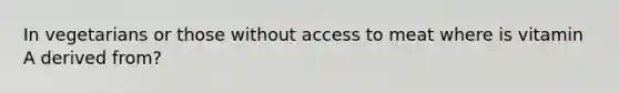 In vegetarians or those without access to meat where is vitamin A derived from?