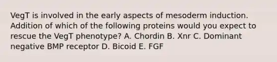 VegT is involved in the early aspects of mesoderm induction. Addition of which of the following proteins would you expect to rescue the VegT phenotype? A. Chordin B. Xnr C. Dominant negative BMP receptor D. Bicoid E. FGF