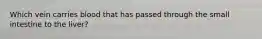 Which vein carries blood that has passed through the small intestine to the liver?