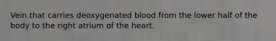 Vein that carries deoxygenated blood from the lower half of the body to the right atrium of the heart.