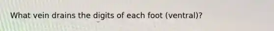 What vein drains the digits of each foot (ventral)?