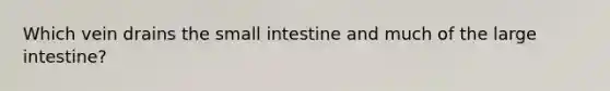 Which vein drains the small intestine and much of the large intestine?