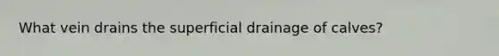 What vein drains the superficial drainage of calves?