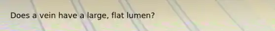 Does a vein have a large, flat lumen?