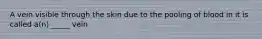 A vein visible through the skin due to the pooling of blood in it is called a(n) _____ vein