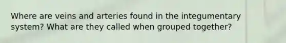 Where are veins and arteries found in the integumentary system? What are they called when grouped together?