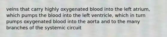 veins that carry highly oxygenated blood into the left atrium, which pumps the blood into the left ventricle, which in turn pumps oxygenated blood into the aorta and to the many branches of the systemic circuit