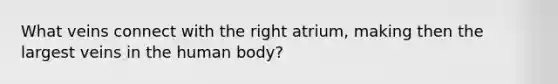 What veins connect with the right atrium, making then the largest veins in the human body?