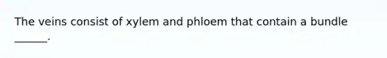 The veins consist of xylem and phloem that contain a bundle ______.