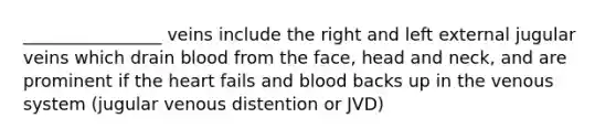 ________________ veins include the right and left external jugular veins which drain blood from the face, head and neck, and are prominent if the heart fails and blood backs up in the venous system (jugular venous distention or JVD)