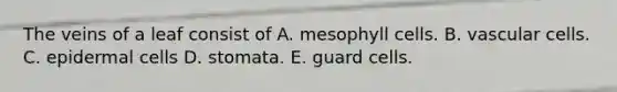 The veins of a leaf consist of A. mesophyll cells. B. vascular cells. C. epidermal cells D. stomata. E. guard cells.