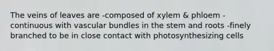 The veins of leaves are -composed of xylem & phloem -continuous with vascular bundles in the stem and roots -finely branched to be in close contact with photosynthesizing cells