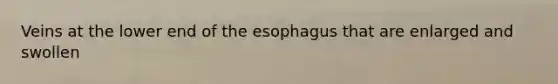 Veins at the lower end of the esophagus that are enlarged and swollen