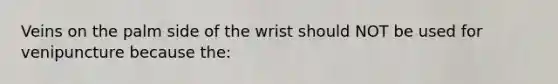 Veins on the palm side of the wrist should NOT be used for venipuncture because the: