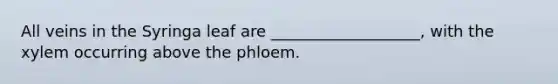 All veins in the Syringa leaf are ___________________, with the xylem occurring above the phloem.