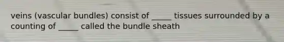 veins (vascular bundles) consist of _____ tissues surrounded by a counting of _____ called the bundle sheath