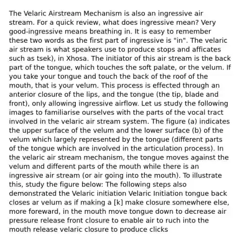 The Velaric Airstream Mechanism is also an ingressive air stream. For a quick review, what does ingressive mean? Very good-ingressive means breathing in. It is easy to remember these two words as the first part of ingressive is "in". The velaric air stream is what speakers use to produce stops and afficates such as tsek), in Xhosa. The initiator of this air stream is the back part of the tongue, which touches the soft palate, or the velum. If you take your tongue and touch the back of the roof of the mouth, that is your velum. This process is effected through an anterior closure of the lips, and the tongue (the tip, blade and front), only allowing ingressive airflow. Let us study the following images to familiarise ourselves with the parts of the vocal tract involved in the velaric air stream system. The figure (a) indicates the upper surface of the velum and the lower surface (b) of the velum which largely represented by the tongue (different parts of the tongue which are involved in the articulation process). In the velaric air stream mechanism, the tongue moves against the velum and different parts of the mouth while there is an ingressive air stream (or air going into the mouth). To illustrate this, study the figure below: The following steps also demonstrated the Velaric initiation Velaric Initiation tongue back closes ar velum as if making a [k] make closure somewhere else, more foreward, in the mouth move tongue down to decrease air pressure release front closure to enable air to ruch into the mouth release velaric closure to produce clicks