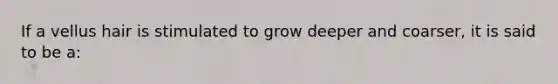 If a vellus hair is stimulated to grow deeper and coarser, it is said to be a: