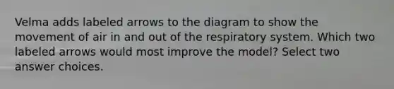 Velma adds labeled arrows to the diagram to show the movement of air in and out of the respiratory system. Which two labeled arrows would most improve the model? Select two answer choices.