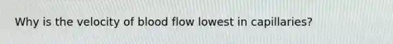 Why is the velocity of blood flow lowest in capillaries?