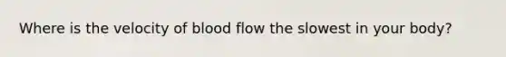 Where is the velocity of blood flow the slowest in your body?