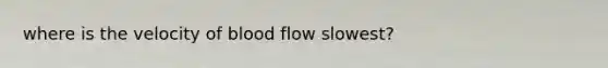 where is the velocity of blood flow slowest?