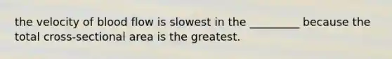 the velocity of blood flow is slowest in the _________ because the total cross-sectional area is the greatest.