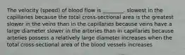 The velocity (speed) of blood flow is ________. slowest in the capillaries because the total cross-sectional area is the greatest slower in the veins than in the capillaries because veins have a large diameter slower in the arteries than in capillaries because arteries possess a relatively large diameter increases when the total cross-sectional area of the blood vessels increases