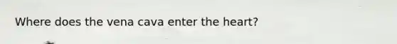 Where does the vena cava enter the heart?