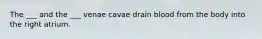 The ___ and the ___ venae cavae drain blood from the body into the right atrium.