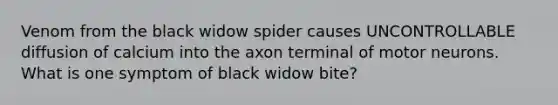 Venom from the black widow spider causes UNCONTROLLABLE diffusion of calcium into the axon terminal of motor neurons. What is one symptom of black widow bite?