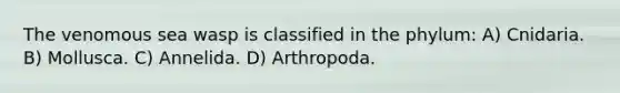 The venomous sea wasp is classified in the phylum: A) Cnidaria. B) Mollusca. C) Annelida. D) Arthropoda.