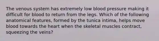 The venous system has extremely low blood pressure making it difficult for blood to return from the legs. Which of the following anatomical features, formed by the tunica intima, helps move blood towards the heart when the skeletal muscles contract, squeezing the veins?