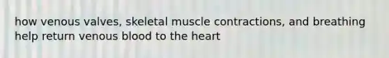 how venous valves, skeletal <a href='https://www.questionai.com/knowledge/k0LBwLeEer-muscle-contraction' class='anchor-knowledge'>muscle contraction</a>s, and breathing help return venous blood to <a href='https://www.questionai.com/knowledge/kya8ocqc6o-the-heart' class='anchor-knowledge'>the heart</a>